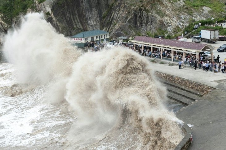 China evacuates 865,000 people before typhoon Chan-hom - ảnh 1